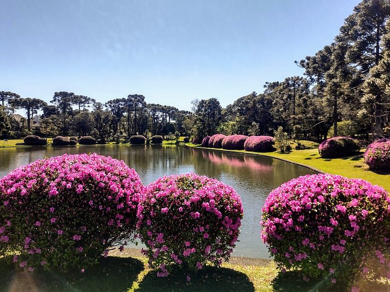 Refúgio Perfeito dentro do Cond Lage de Pedra